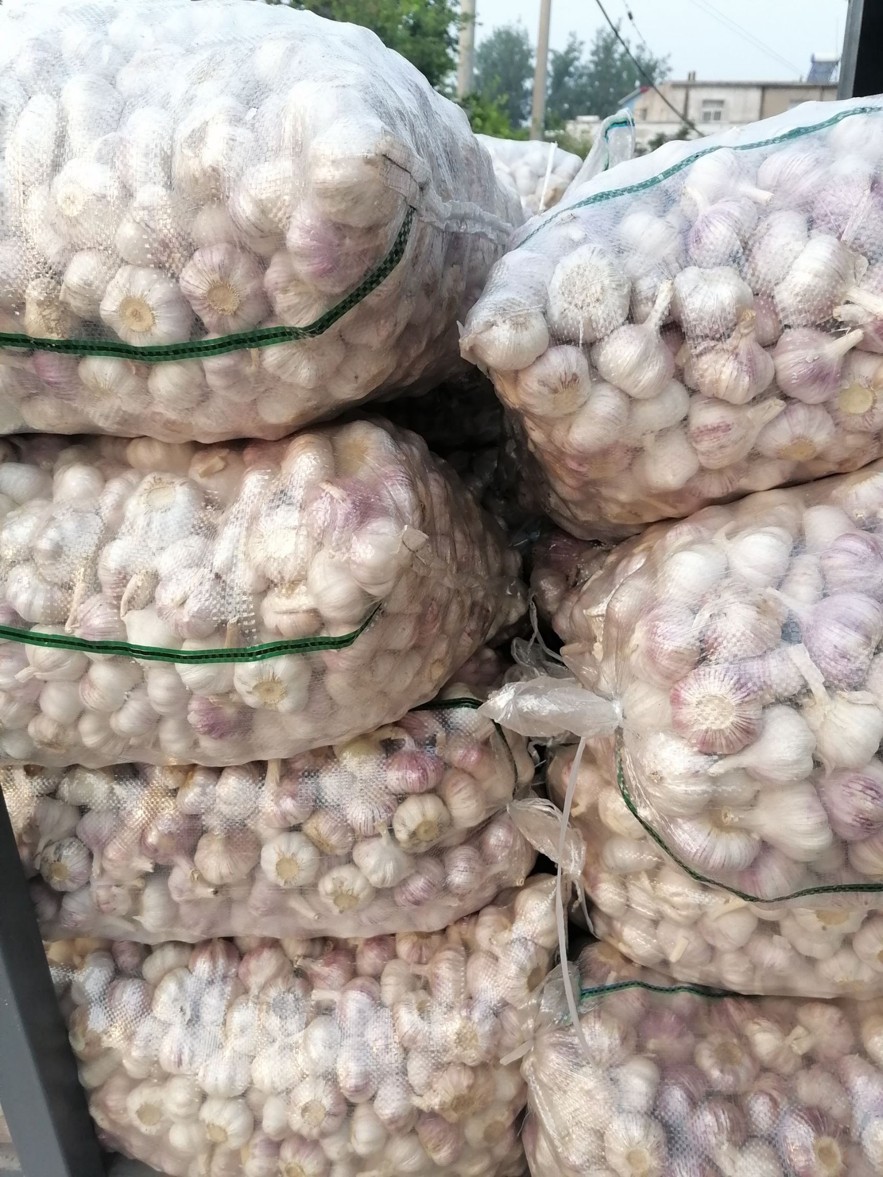 大蒜邳州大蒜精品净蒜红皮蒜冷库储存代收代储