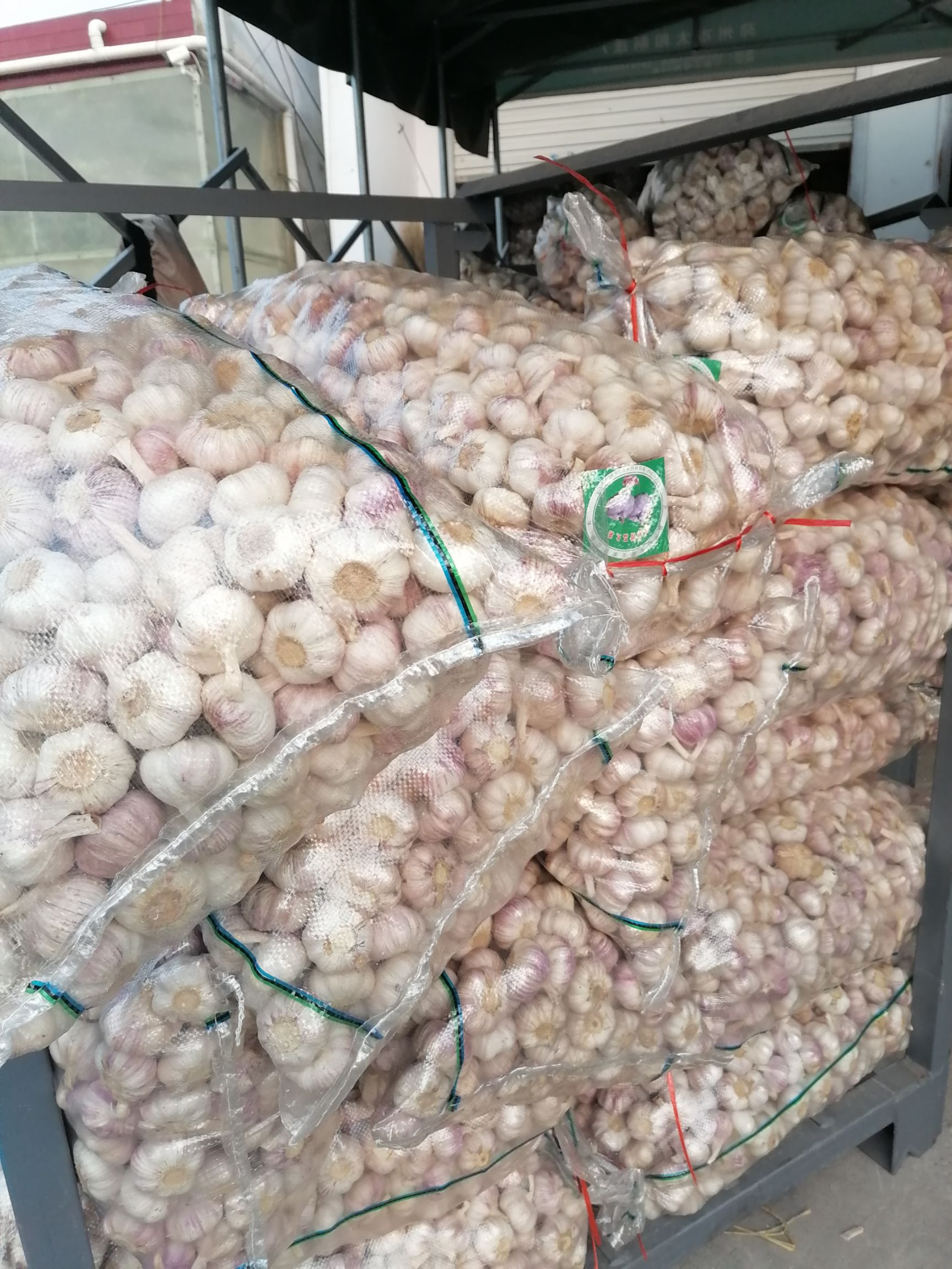 大蒜邳州大蒜精品净蒜红皮蒜冷库储存代收代储