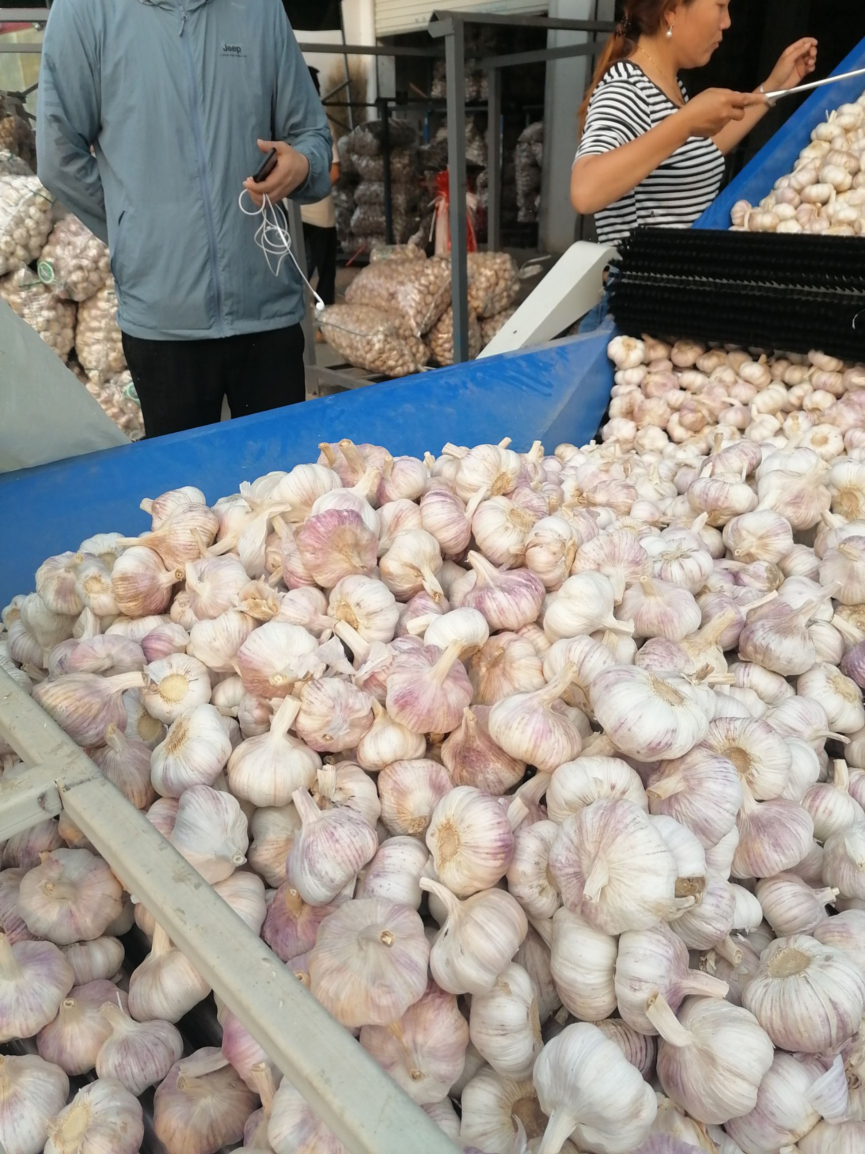 大蒜邳州大蒜精品净蒜红皮蒜冷库储存代收代储