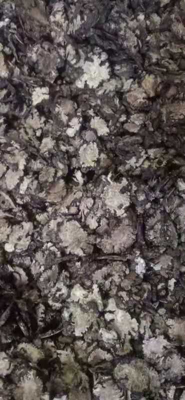  川芎 产地大货  质量保证 全干无杂质！炕货