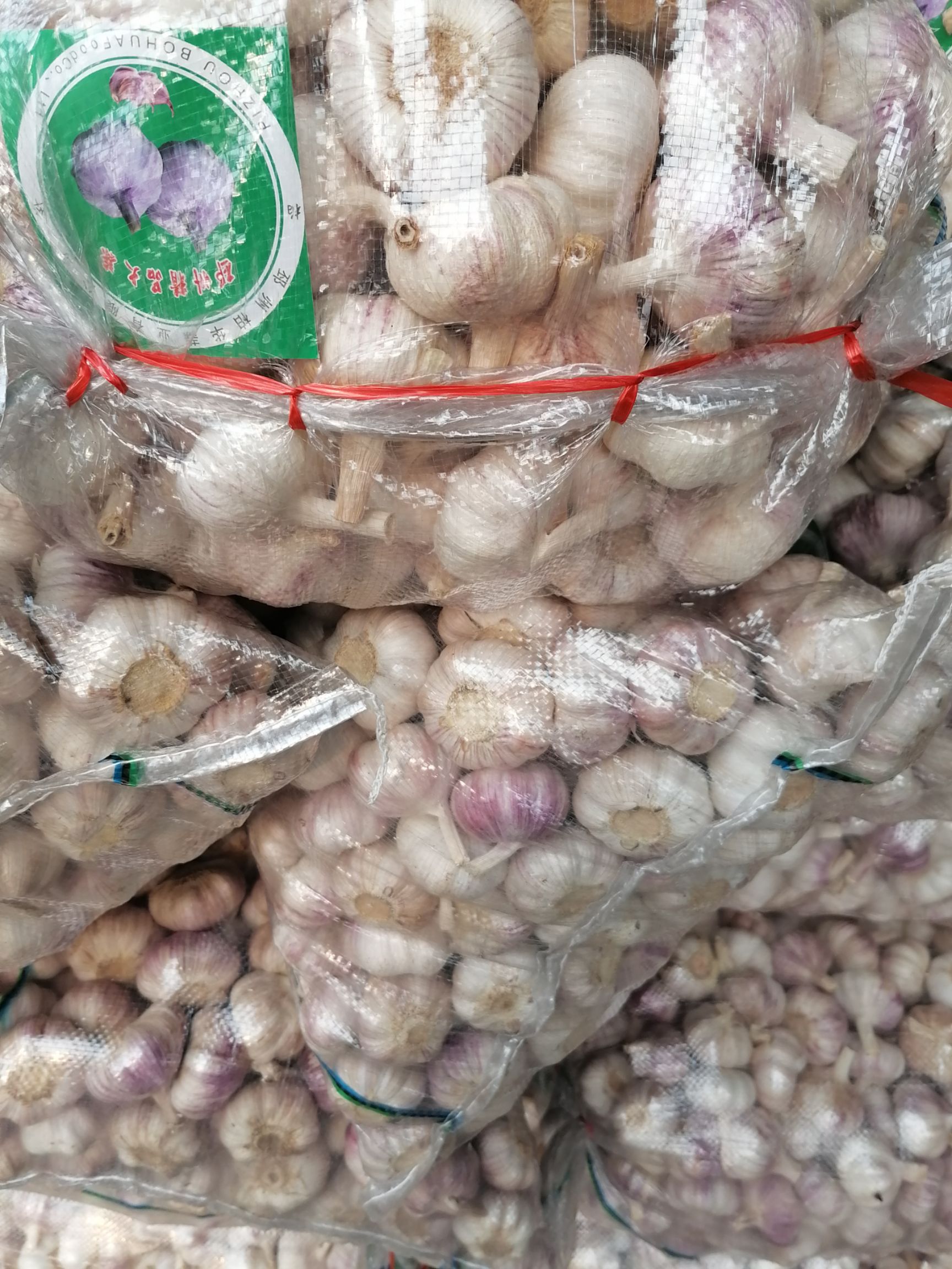 大蒜邳州大蒜精品净蒜红皮蒜冷库储存代收代储