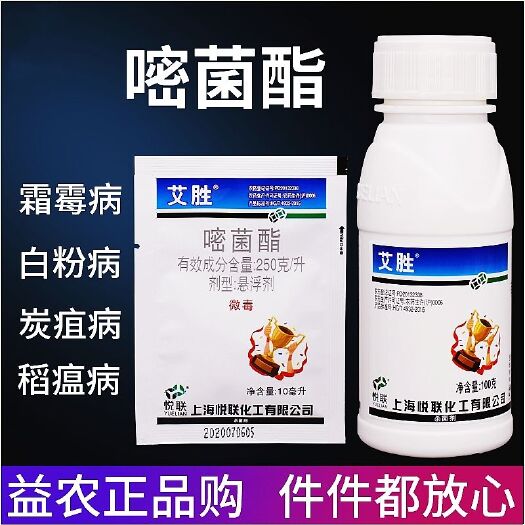 250克/升嘧菌酯100ml霜霉百粉炭疽叶斑疫病醚菌酯密菌酯