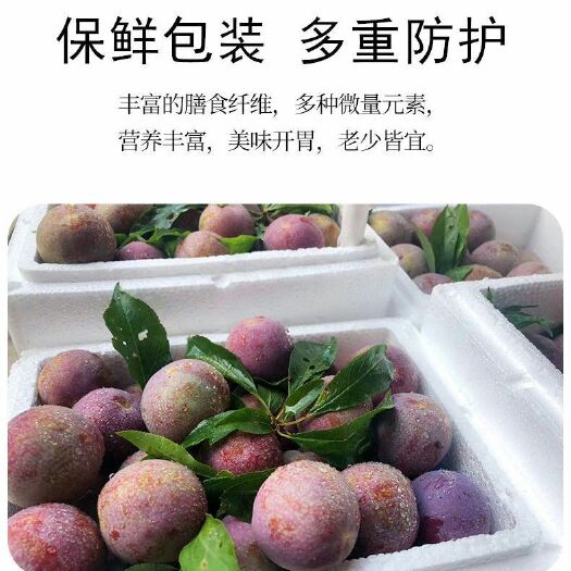 昭平县正宗广西三华李红心李子