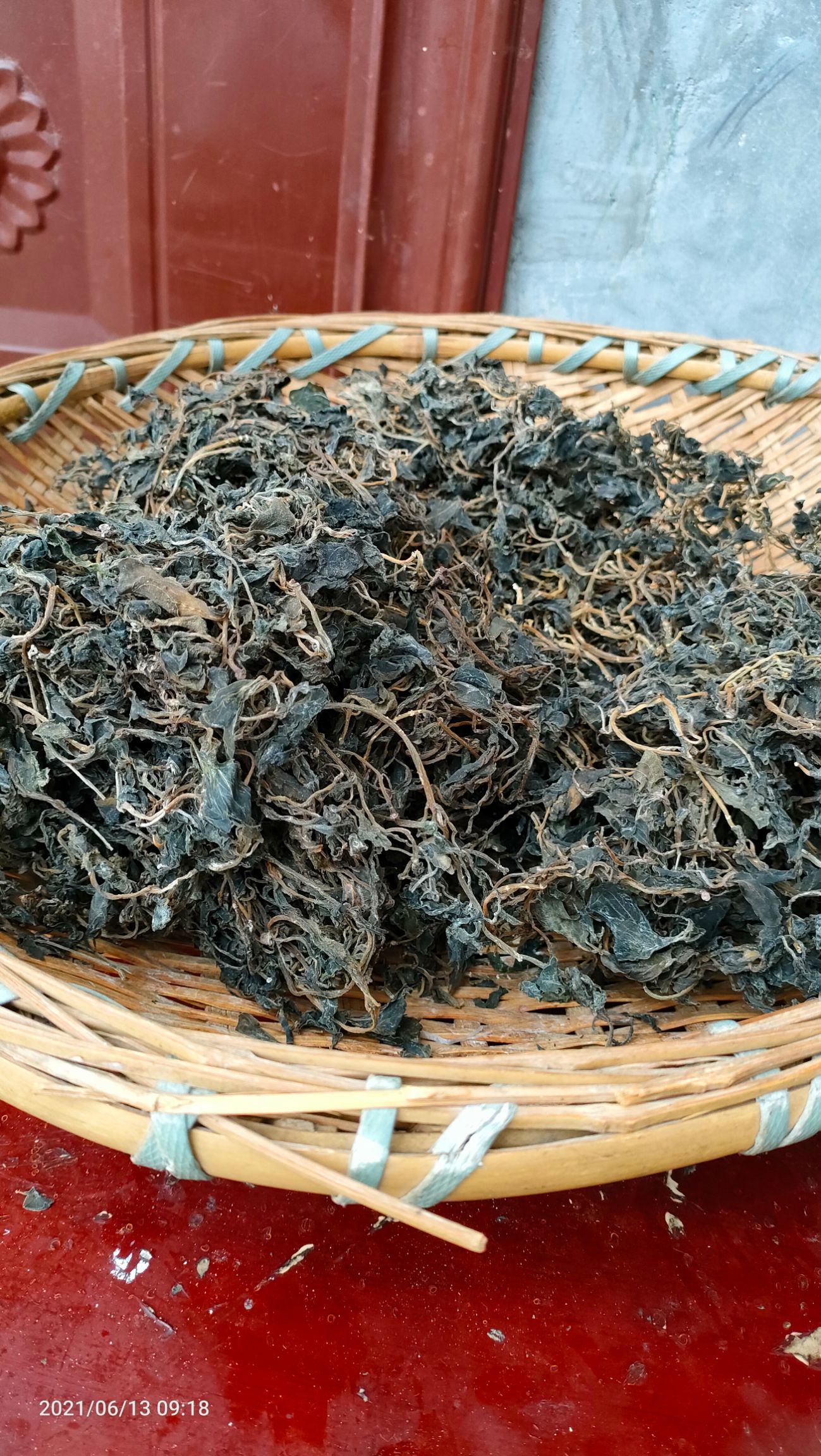 干马齿苋
