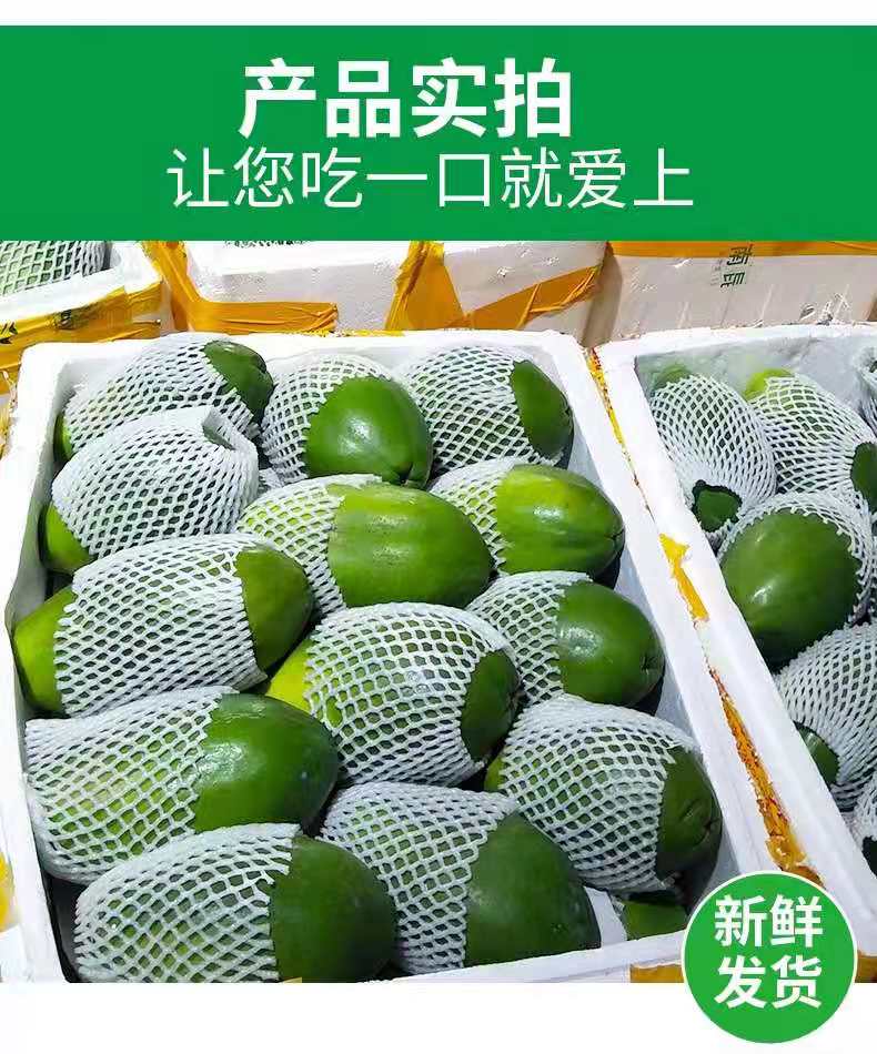 红心木瓜大量上市中，货量充足，欢迎各大采购商前来看货