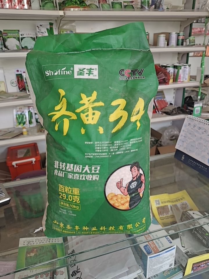 郯城县优质的黑崎黄豆种子——齐黄34
