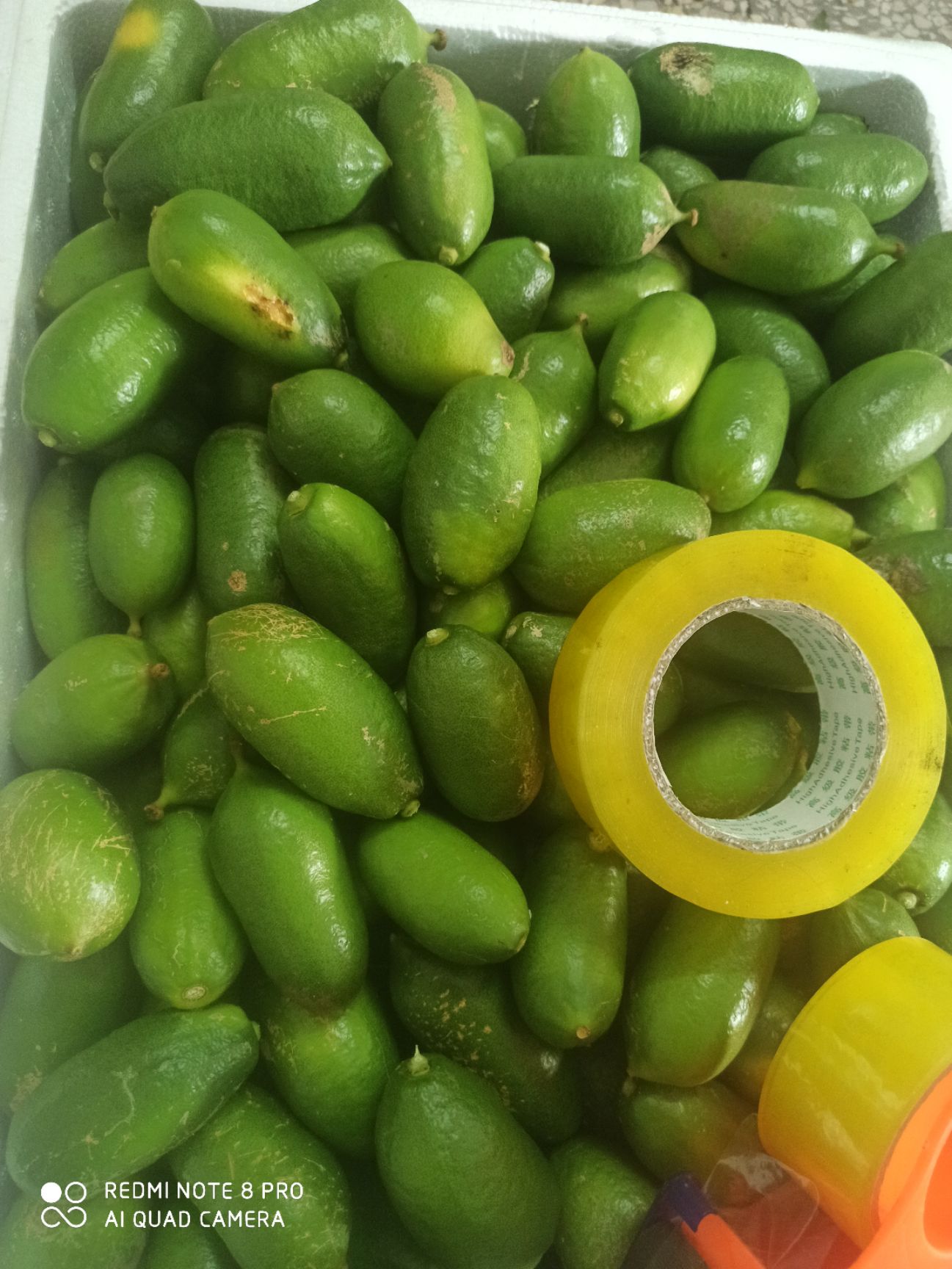 广西香水柠檬青果二级果