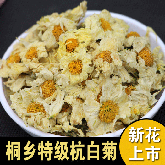 菊花茶  杭白菊