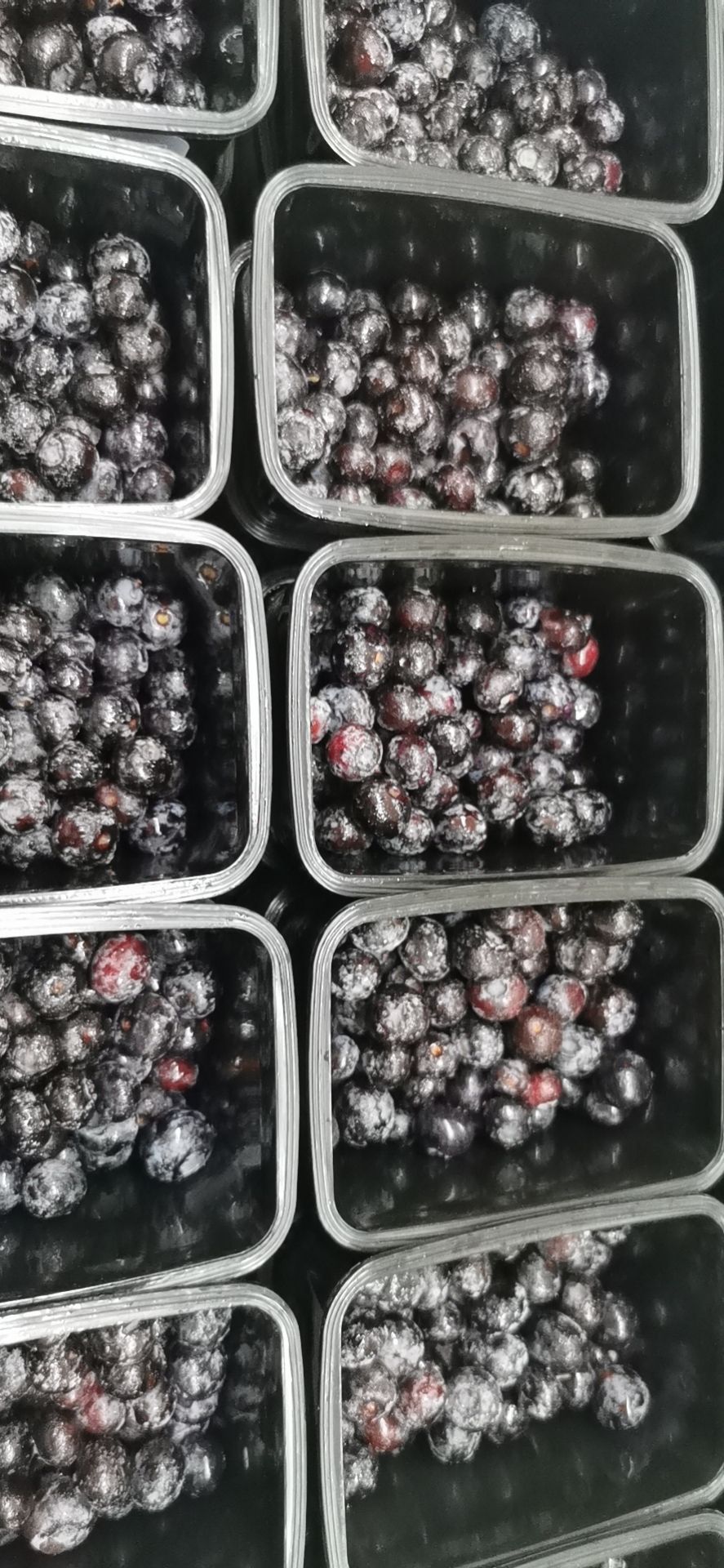  冰冻蔬果冰冻蓝莓