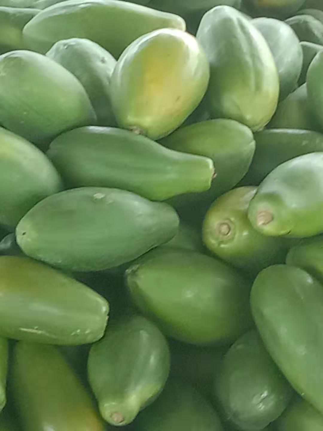 大青中白肉红至3点  红心木瓜一年四季都大量上市，产地直供，货源充足，价格美丽