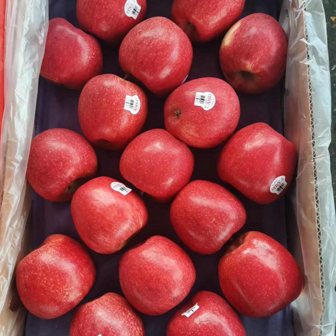 红富士苹果  【广州市热卖】新西兰不氧化爱妃苹果8个4斤