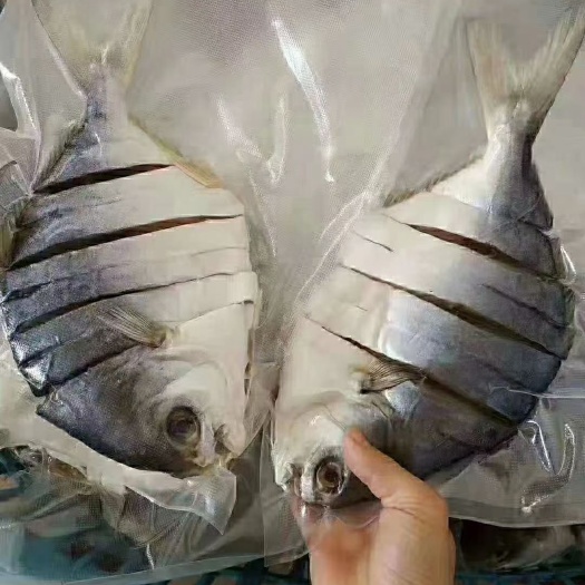 湛江 金昌鱼干