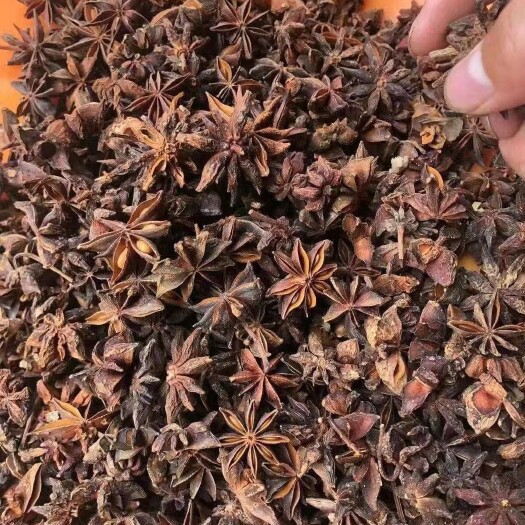 太原 八角八成干好货！个头大颜色好