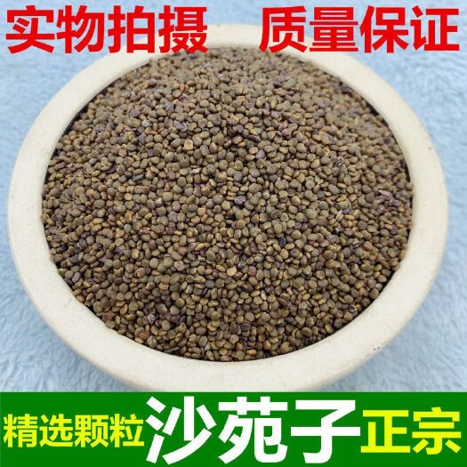 沙苑子 中药材选货 干货