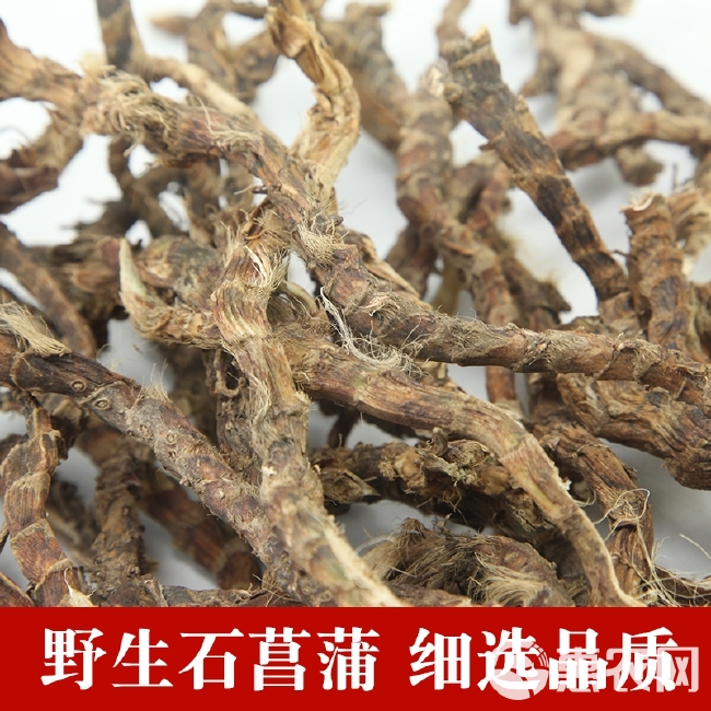  正品天然石菖蒲中药材500g可磨石菖蒲粉九节菖蒲苦菖蒲山