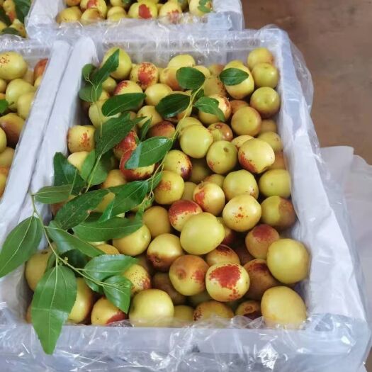 大荔县大荔精品冬枣，代收，一件代发