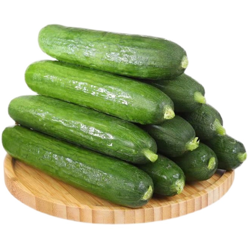 水果黄瓜生吃新鲜脆甜当季蔬菜荷兰无刺小黄瓜