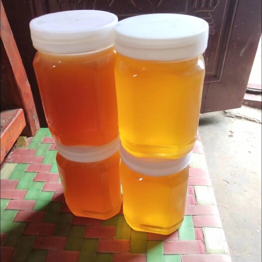 乐业县土蜂蜜 出售蜂蜜