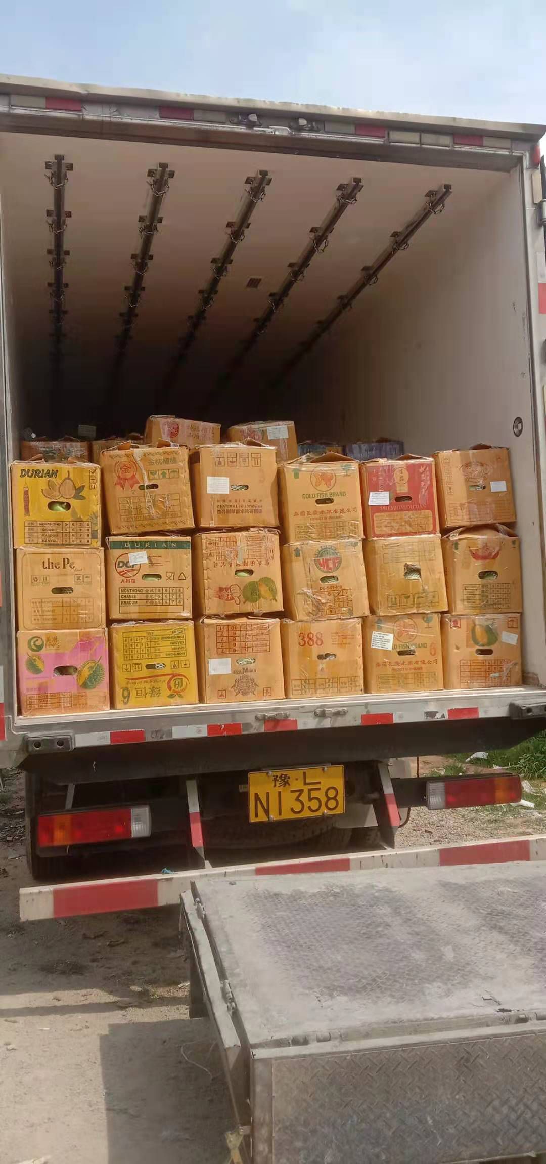 大青中白肉红至3点  红心木瓜一年四季都大量上市，产地直供，货源充足，价格美丽