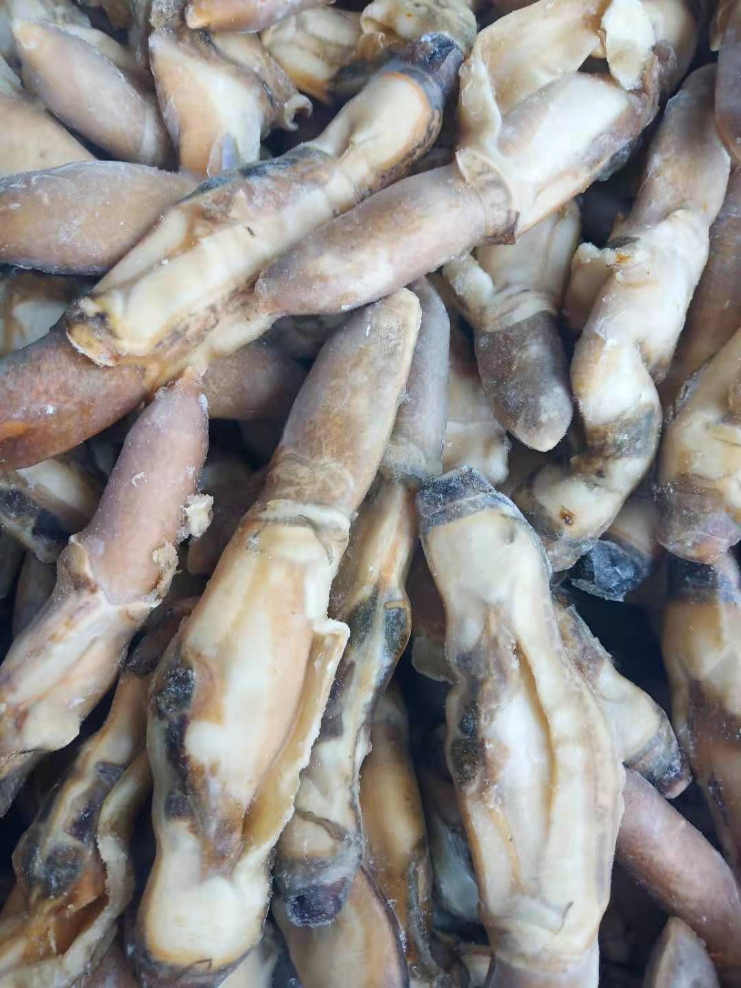 南极磷虾 磷虾仁，磷虾仁