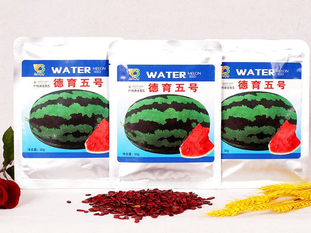 乐久德育五号高产早熟甜王西瓜种子，露地高产耐贮耐裂大红瓤早熟
