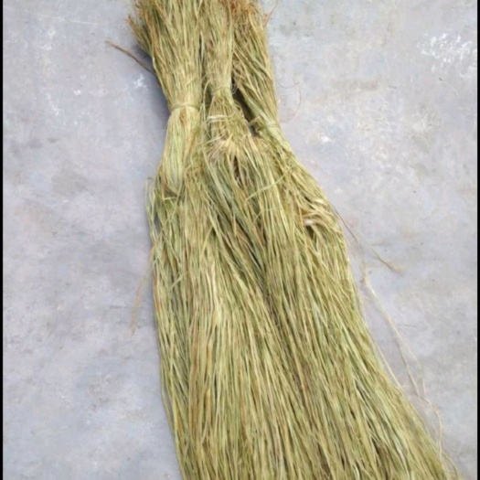 大竹县四川苎麻之乡优质苎麻，青麻，青麻丝