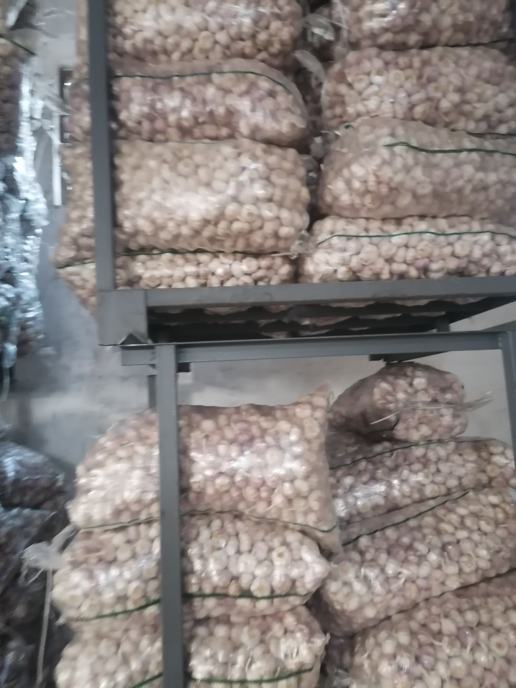 2022年邳州精品净蒜，红皮蒜，精品包装