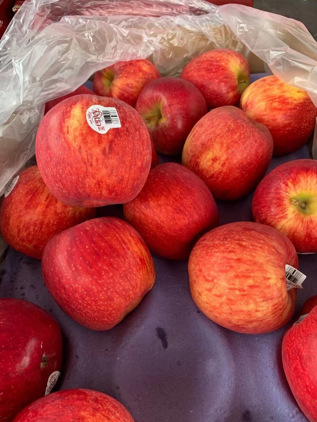 红富士苹果  【广州市热卖】新西兰不氧化爱妃苹果8个4斤