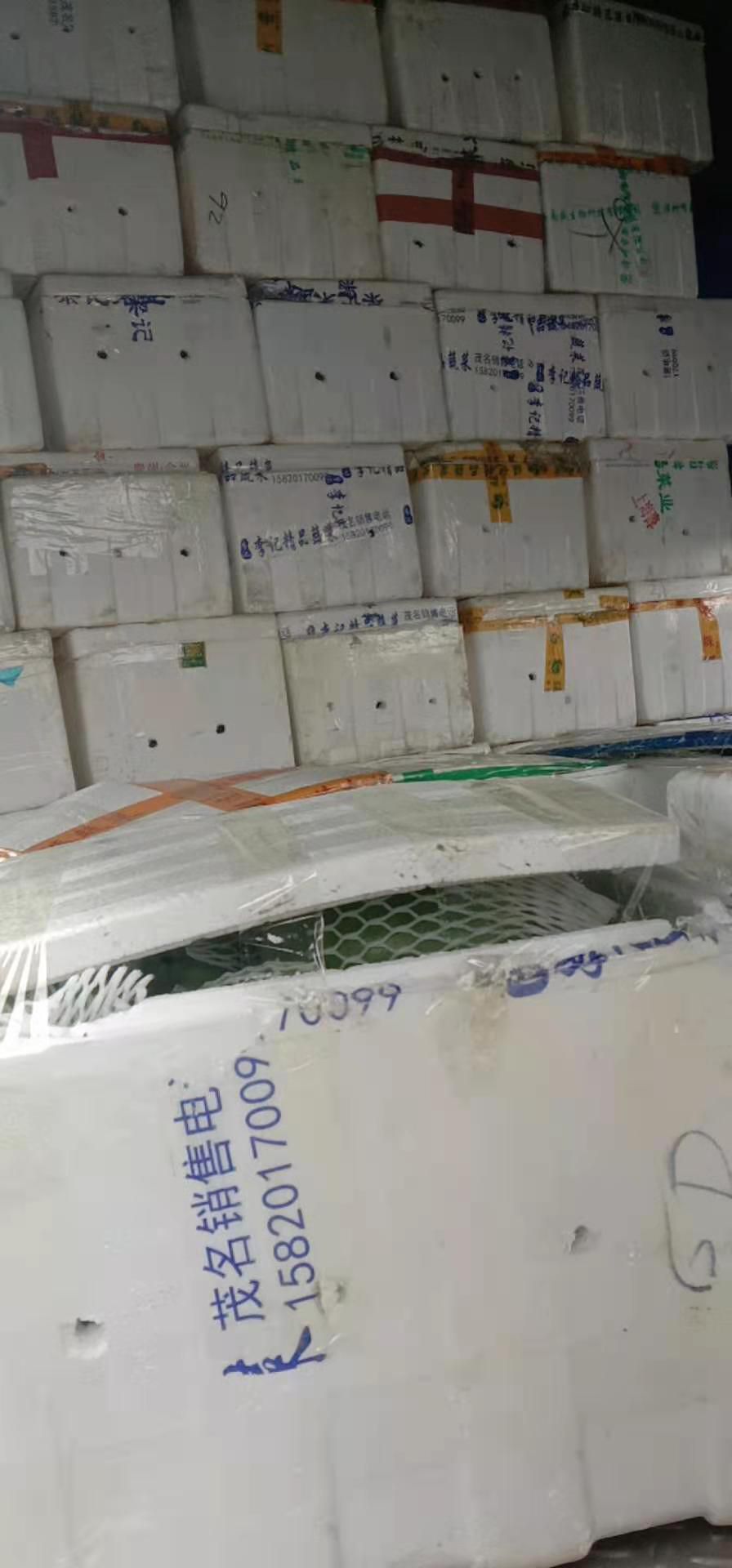 大青中白肉红至3点  红心木瓜一年四季都大量上市，产地直供，货源充足，价格美丽