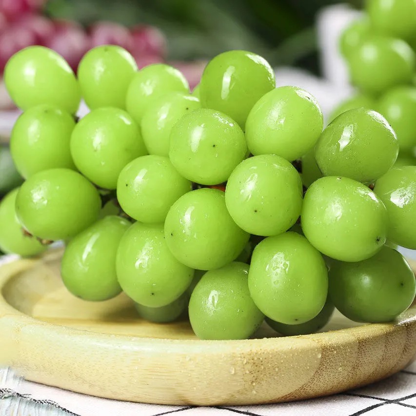 四川西昌阳光玫瑰青提水晶葡萄香印无籽日本晴王现摘顺丰空运包邮