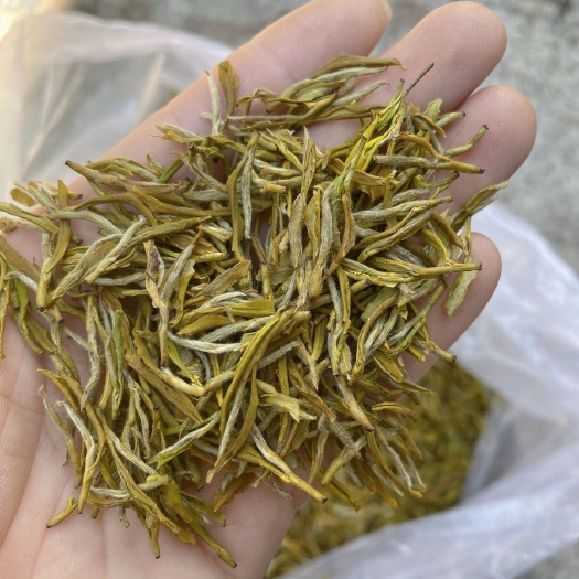 遂昌县黄金茶  黄金芽