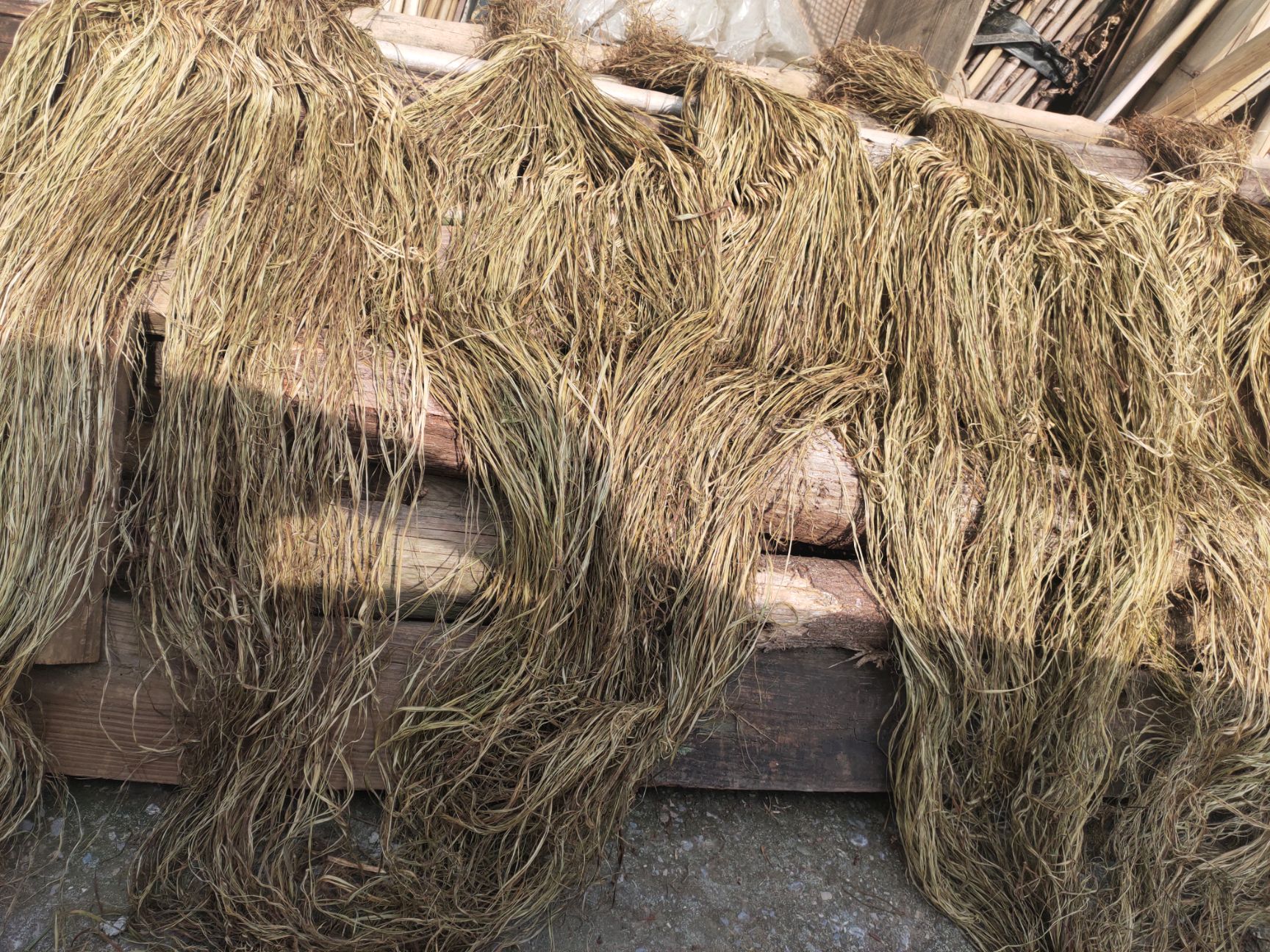 四川苎麻之乡优质苎麻，青麻，青麻丝