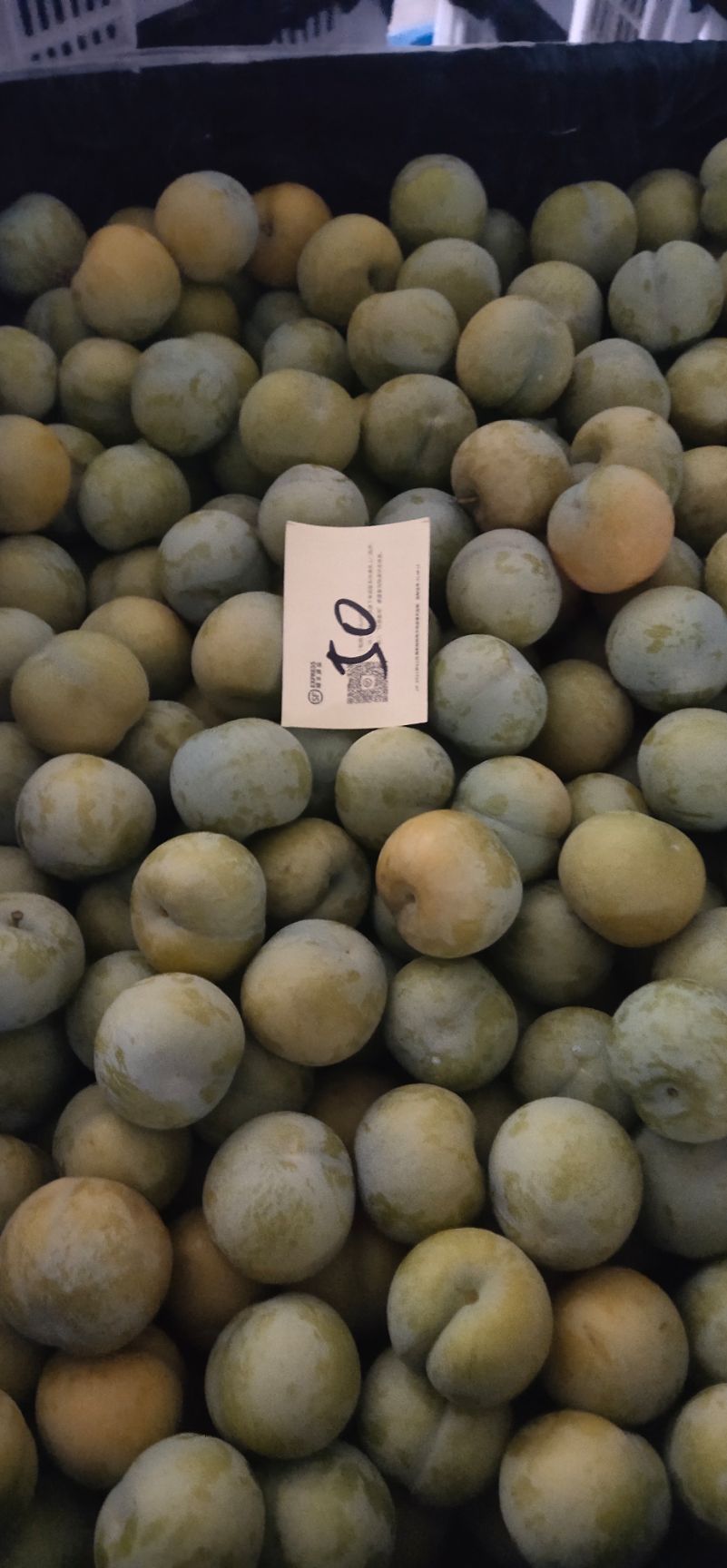 蜂糖李  六马蜂螗李