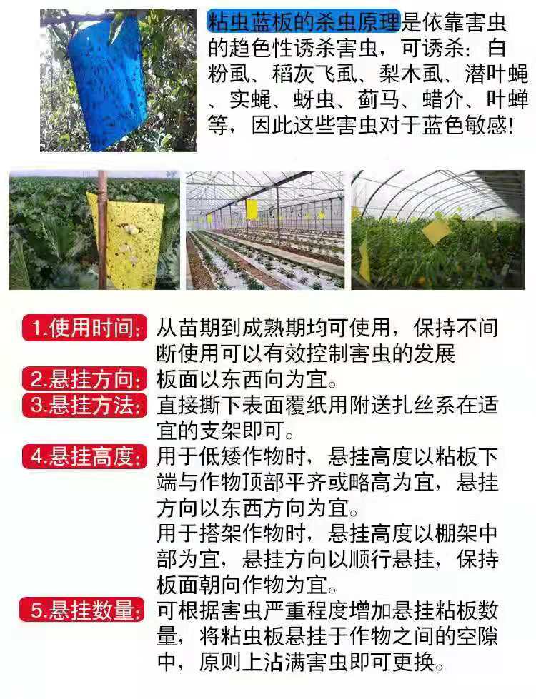 双面粘虫板诱虫板黄色蓝板灭小黑飞杀粘板蓟马大棚果园针蜂诱捕器