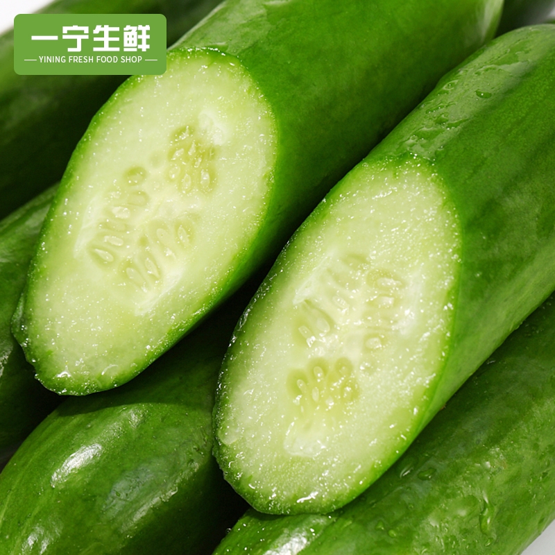 水果黄瓜生吃新鲜脆甜当季蔬菜荷兰无刺小黄瓜