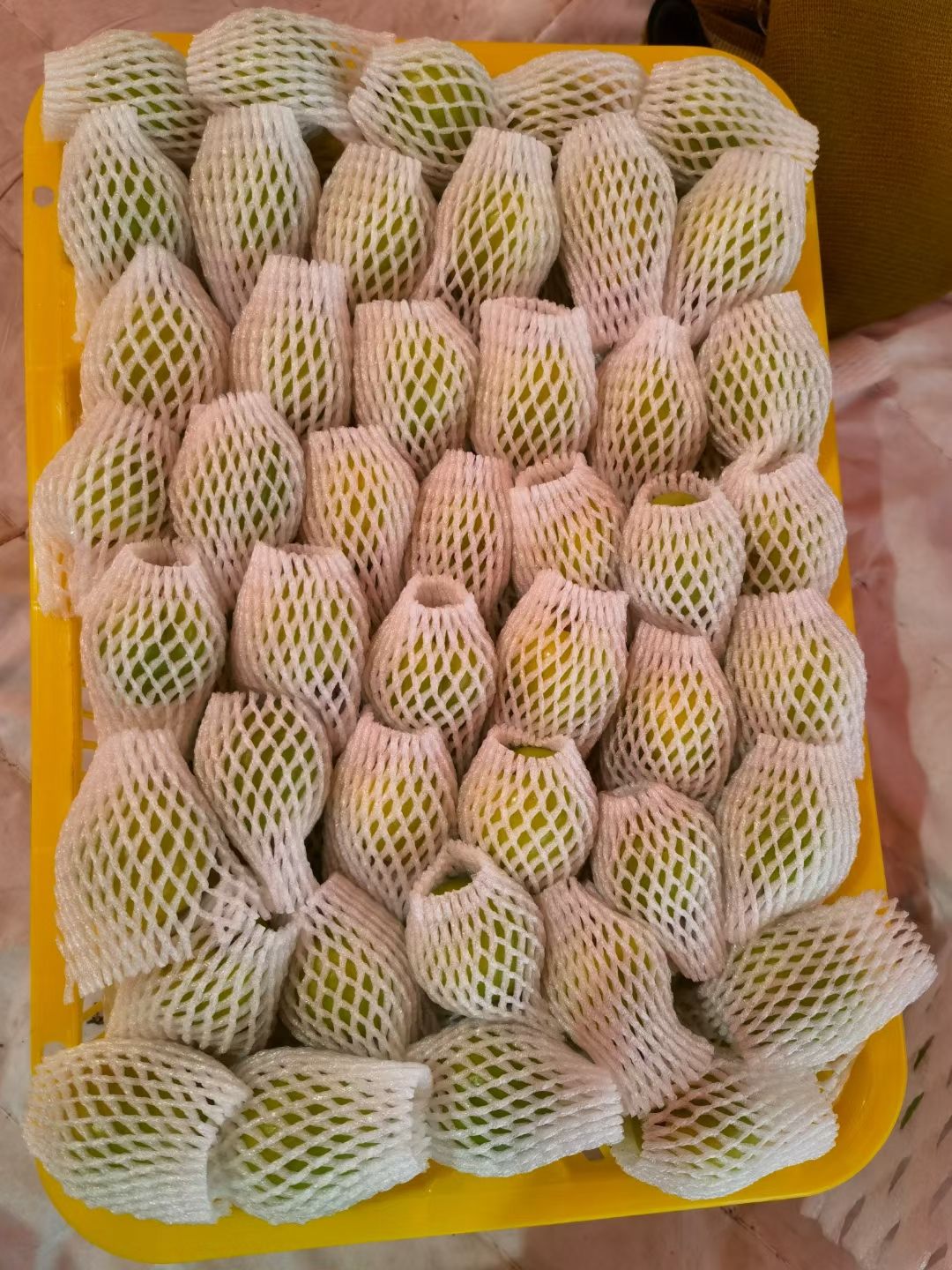 2023新疆轮台筐装新鲜小白杏，批发优惠，甜度高，现摘现发