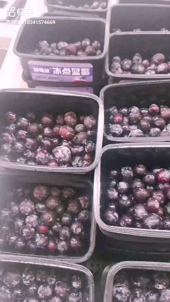 东港市 冰冻蔬果冰冻蓝莓