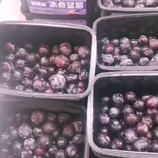 东港市 冰冻蔬果冰冻蓝莓