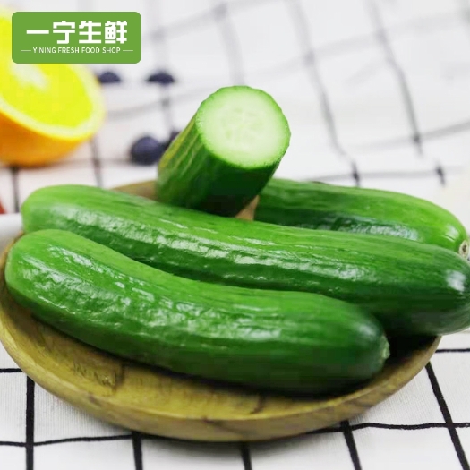 上海水果黄瓜生吃新鲜脆甜当季孕妇蔬菜荷兰无刺小黄瓜