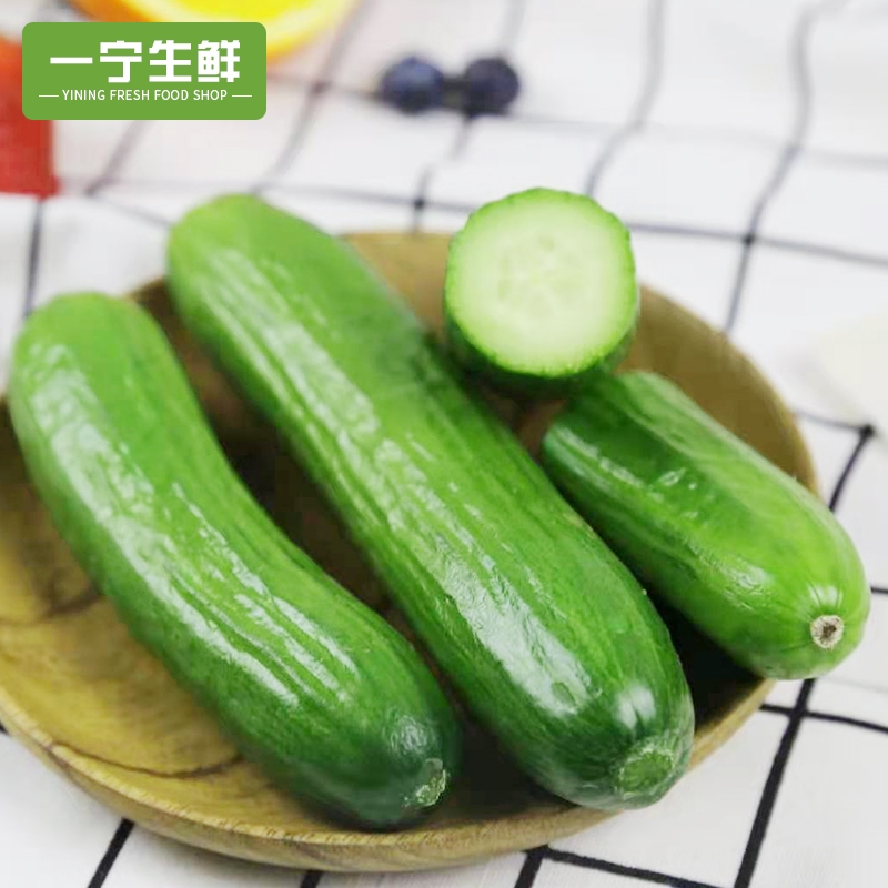 水果黄瓜生吃新鲜脆甜当季蔬菜荷兰无刺小黄瓜