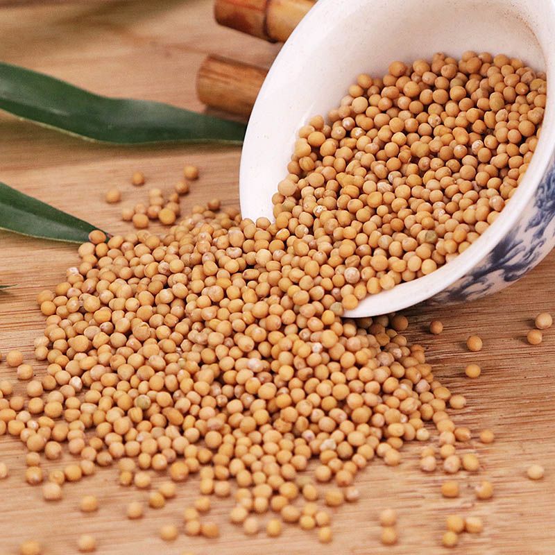 白芥子  辛辣 中药材干货 量大从优