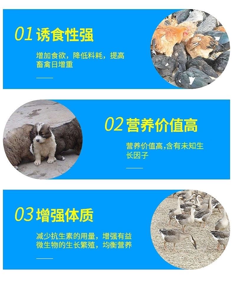 饲料鱼  秘鲁蒸汽鱼粉68%蛋白 饲料级 水产养殖饲料