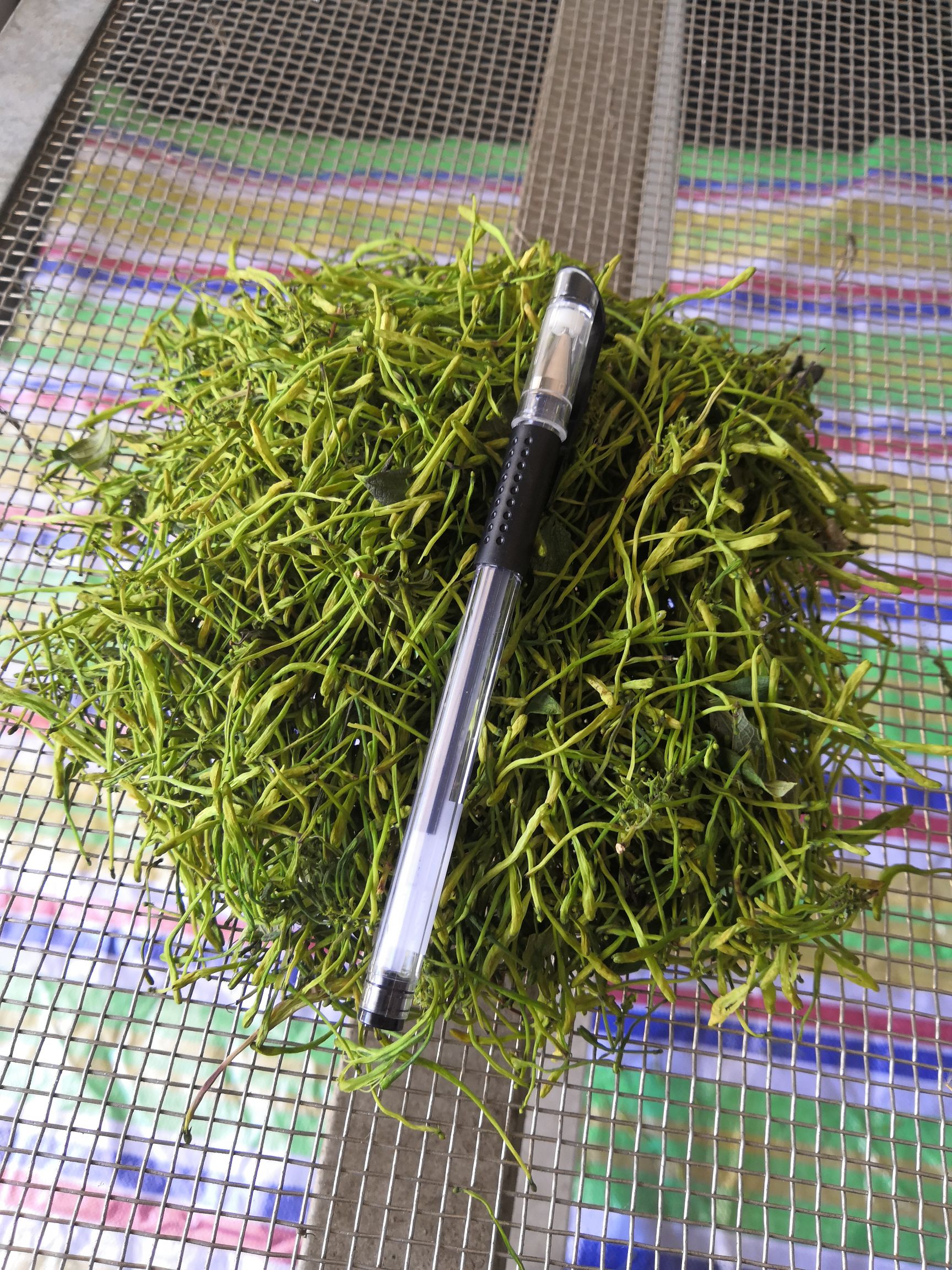 金银花湖南双花泡茶花高山银花一手货源	 产地直供无硫优选绿花