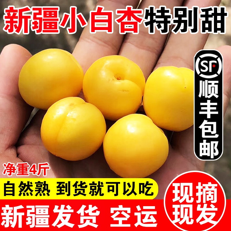 轮台小白杏现摘现发保证新鲜产品航空快运发货原产地