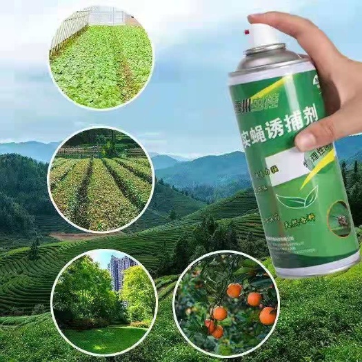 曹县 诱虫板 果蝇诱粘剂诱捕器瓜果实蝇针蜂引诱剂杀果蝇药果园果树