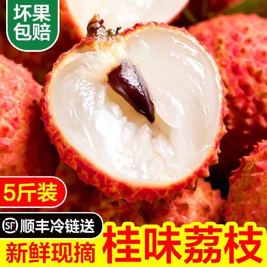 海口广东桂味荔枝  柔嫩多汁  甜上心头