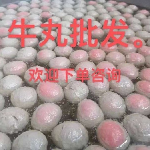 深圳牛肉丸 2-3个月 2021-06-14 - 2021-08-14 