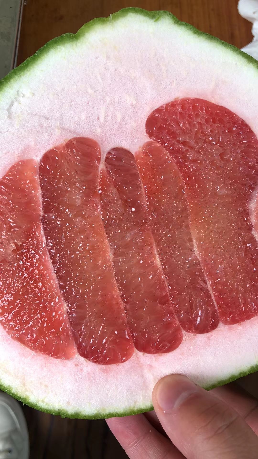 泰国红宝石柚苗 嫁接苗