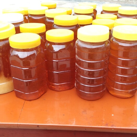 宝鸡 土蜂蜜，