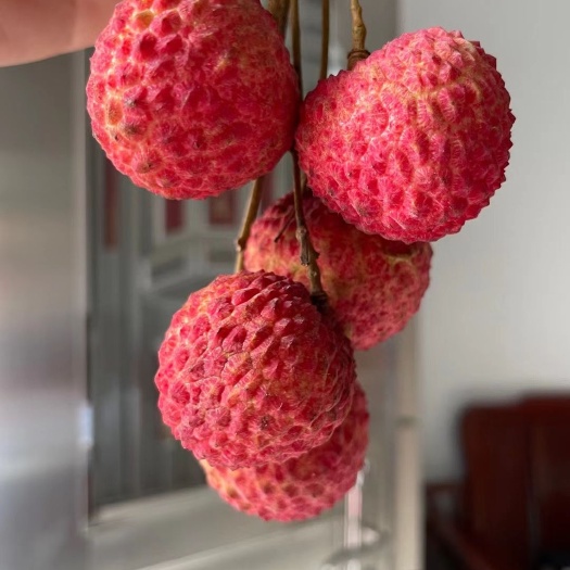 广州糯米糍荔枝  自家种的荔枝，品种有桂味和糯米糍，可混装
顺丰省内包邮十斤装